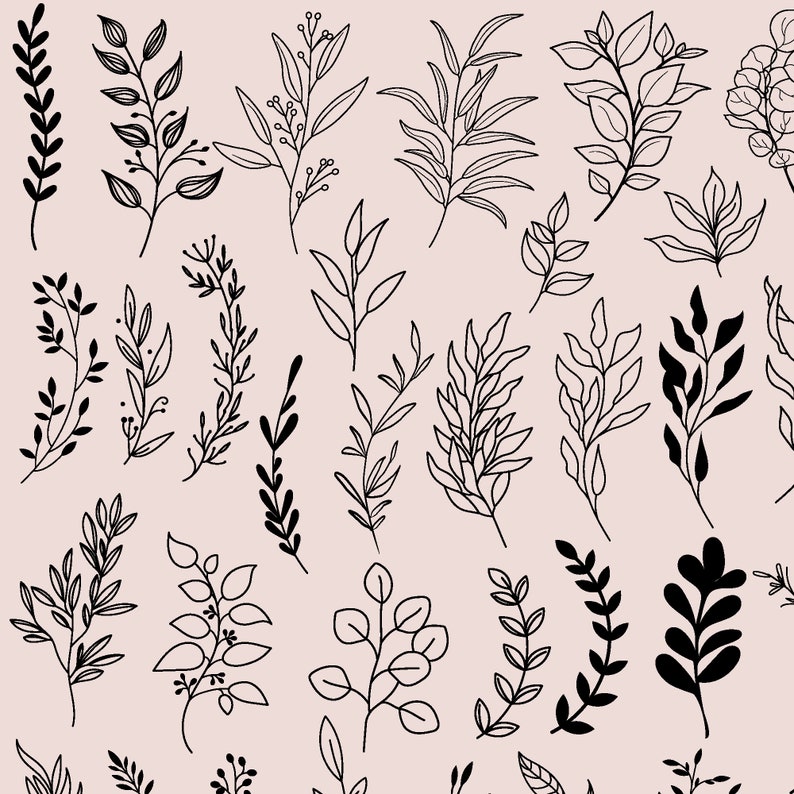 May include: A collection of 30 black and white line drawings of various leafy branches and sprigs. The drawings are simple and elegant, perfect for adding a touch of nature to any design project.