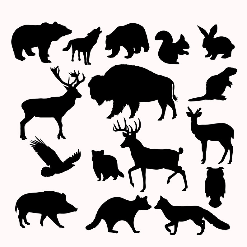Animal Svg Bundle Animal Svg Woodland Animal Cut Files Baby Etsy