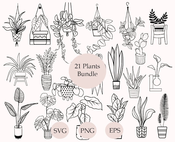 Plants SVG Bundle, Hand Drawn Clipart, Hanging Plant Svg, Gardening Silhouette, Floral Svg, Botanical Svg, Leaves Png, Cut Files