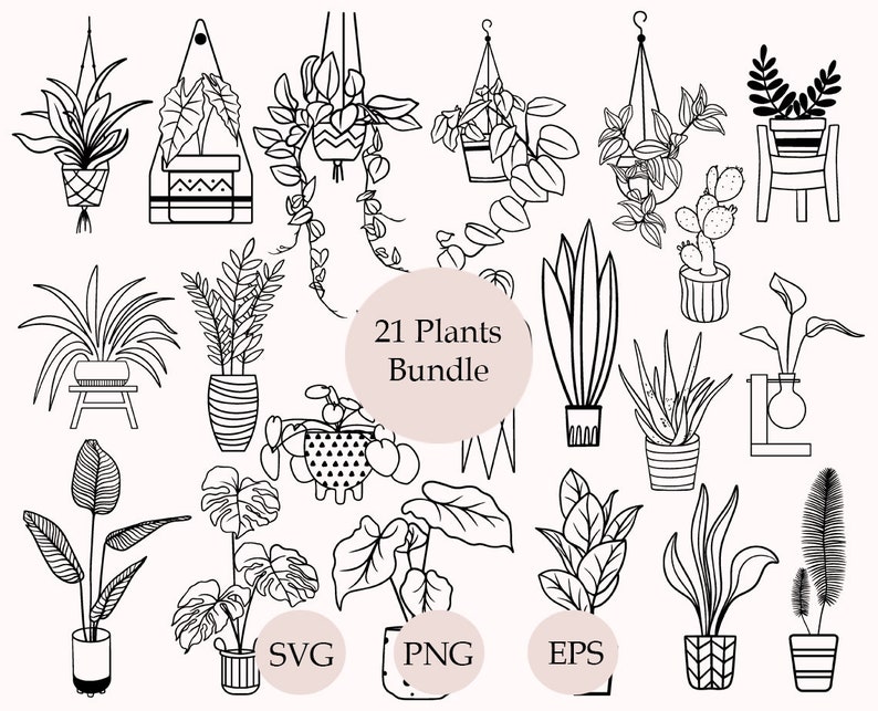 May include: A set of 21 black and white line drawings of various houseplants. The plants are in different pots and some are hanging. The text "21 Plants Bundle" is in the center of the image. The words "SVG", "PNG", and "EPS" are at the bottom of the image.