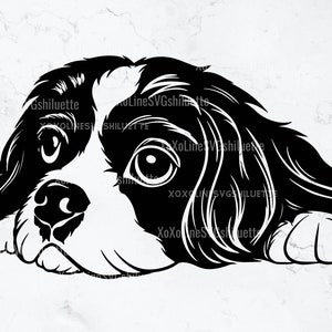 Cavalier King Charles Spaniel Svg, Silhouette, Clipart Cavalier
