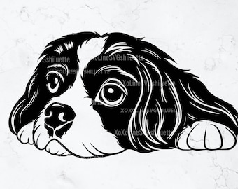 Cavalier King Charles Spaniels Svg, Silueta, Clipart de Cavalier