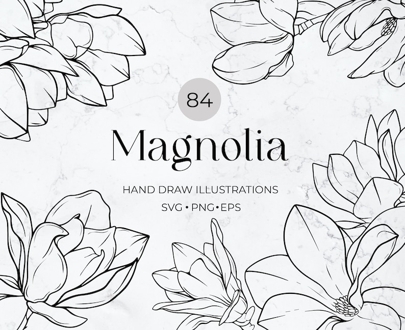 K&ouml;nnte beinhalten: Schwarz-wei&szlig;e Linienzeichnungen von Magnolienbl&uuml;ten. Das Bild enth&auml;lt 84 Magnolienbl&uuml;ten und den Text "Magnolia Hand Draw Illustrations SVG.PNG.EPS".