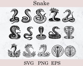 Paquete SVG de serpiente, serpiente floral Svg, cobra Svg, clipart de serpiente celestial, serpiente con flores, archivos para Cricut, silueta de cobra