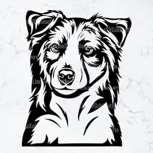 Australian Shepherd Svg, Australian Shepherd silhouet, Cricut, gluren Australian Shepherd, moeder hondenliefhebber, Aussie Clipart