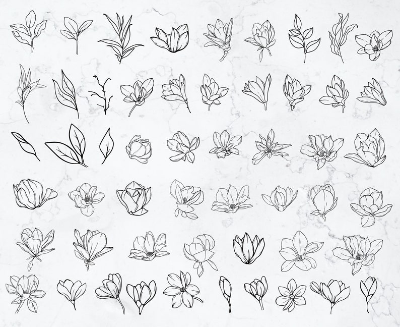 K&ouml;nnte beinhalten: Ein Satz von 48 Schwarzwei&szlig;-Linienzeichnungen von Magnolienbl&uuml;ten und -bl&auml;ttern. Die Zeichnungen sind einfach und elegant und eignen sich perfekt f&uuml;r eine Vielzahl von kreativen Projekten.