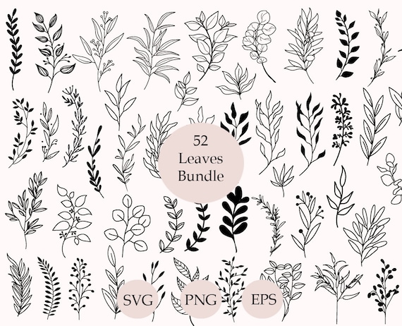 52 Leaves SVG Bundle, Hand Drawn Leaves SVG, Plant Svg,  Cut Files, Leaf Clipart, Cricut, Leaf Png