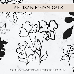 Pacote com 24 PNGs de Botânica Artesanal, Arte Floral, Arte Botânica Linear, PNG Botânico Desenhado à Mão, Belas Artes, Desenho a Lápis de Flor Clipart