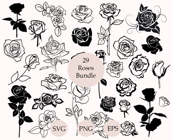 Rose Svg Bundle, Roses Svg, Rose Clipart, Flowers Svg, Silhouette, Rose Cut File, Rose Vector, 29 Designs
