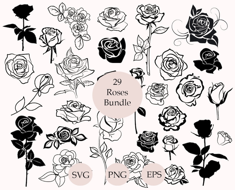 May include: A set of 29 black and white rose illustrations. The roses are in various styles and sizes. The text "29 Roses Bundle" is in the center of the image. The words "SVG", "PNG", and "EPS" are at the bottom of the image.