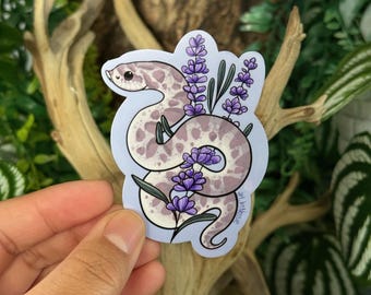 Lavender Hognose Snake Sticker