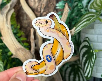 Banana Ball Python Sticker