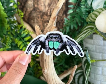 Jumping Spider Sticker