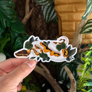 May include: A sticker featuring a white, orange, and brown snake design, accented with green leaves. The snake is curled up, with its head and tail visible. The sticker is held by a hand against a backdrop of greenery and a tan structure.