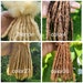Micro Interloc Curly Tips Loc Extensions 100% Human Hair Interlocked ...