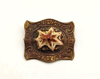 Victoriaanse pin met zeeschelp, vintage sieraden uit de jaren 1900