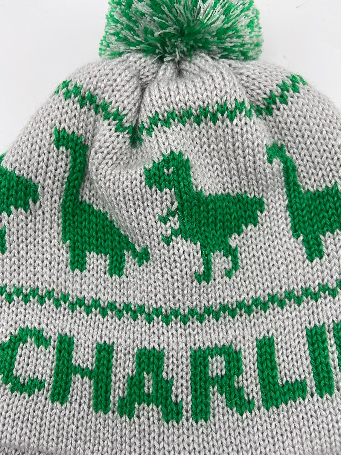 Boy Dinosaur Knit Hat With Name Custom Knit Hat for Kids Etsy