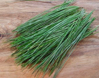 Agujas de pino blanco del este de Blue Ridge: cosecha fresca, cultivo orgánico (56 g)