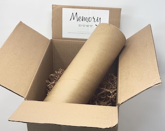 Polvo de memoria: Reemplazo de cenizas de cremación para urnas (5 libras)