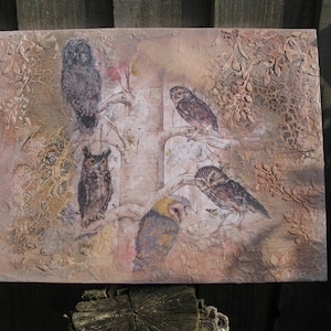 Owl Family Tree