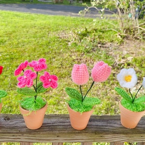 Mini Crochet flower pot,hand made,personalized gift ,home decoration, crocheted Bell flower, Roses, tulip, crochet flowers variation