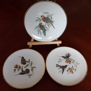 Set of 3 NC Porcelain Exotic Bird Plates Made in West Germany, Colourful Porcelain Bird Plates