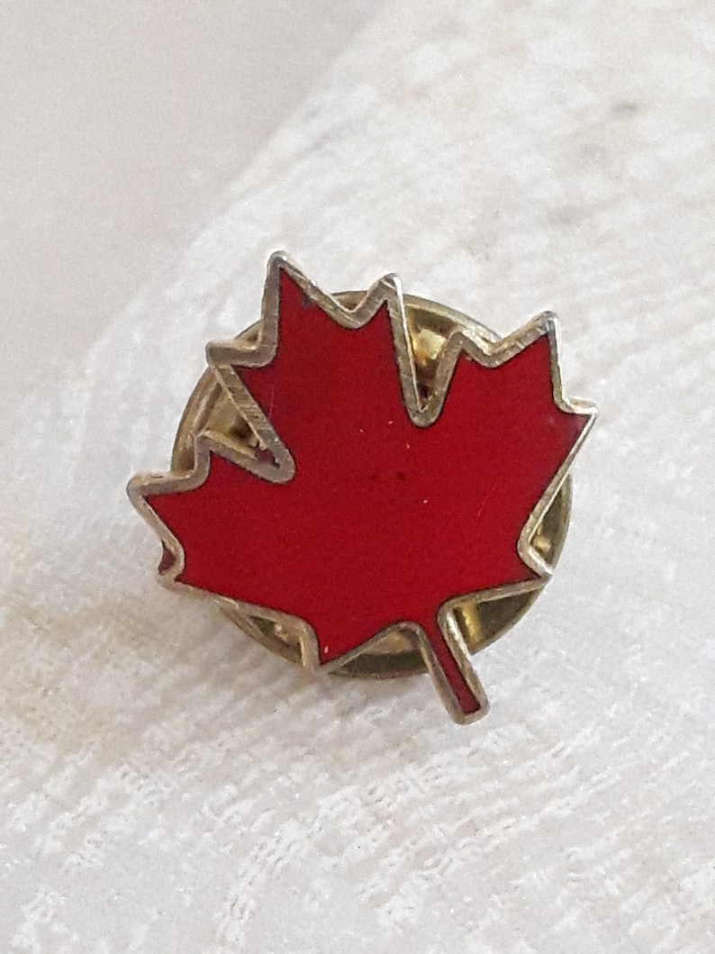 Lot of 8 Canadiana Pins Vintage Canadian Pins Canada Lapel Etsy