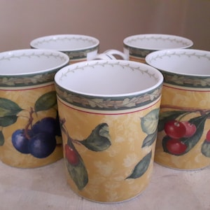 Set of 5 Royal Doulton Vintage Orchard Coffee Mugs