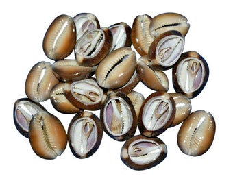 Snake Head Cowrie Shells Tiger Sea Shell Loose Assorted Bulk Jewelry Making Beads Hair Crafts | 50pc