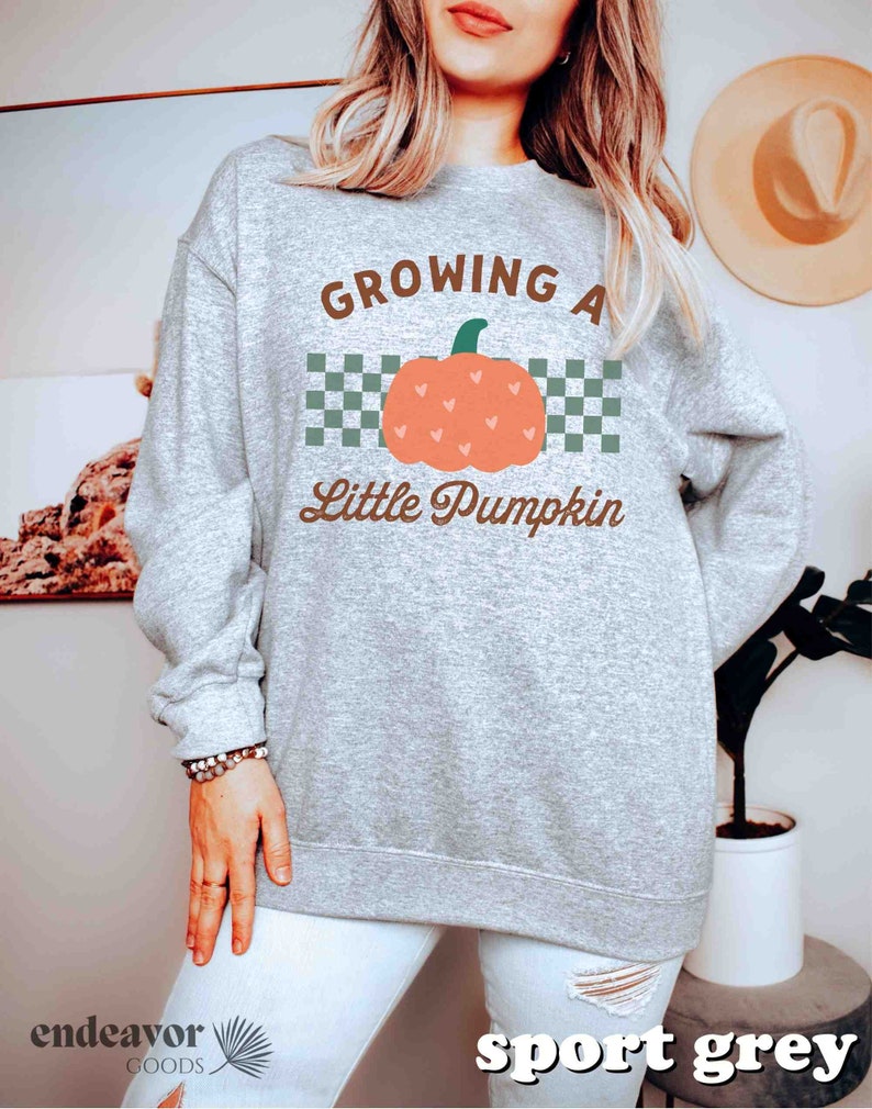 May include: Sport grey sweatshirt with the text "Growing a Little Pumpkin" and a pumpkin graphic. The pumpkin is orange with a green stem and heart details. The text is in brown, with a green and white checkered background.