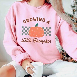 May include: Pink sweatshirt with the text "Growing a Little Pumpkin" and a pumpkin graphic. The pumpkin is orange with a green stem and heart-shaped accents. The text is in brown, with a checkered pattern behind the pumpkin. The word "pink" is at the bottom.