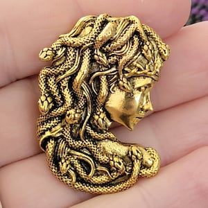 Medusa Cover Minder or fridge magnets