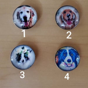 Dog 4