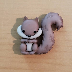 Eichhörnchen