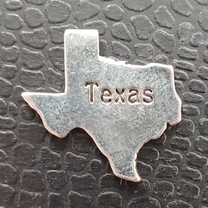 Silver States cover minders