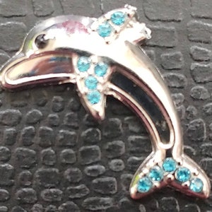 Mini Dolphin Cover Minder or fridge magnets