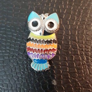 Metal owl colorfull Cover Minder or fridge magnet