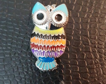 Metal owl colorfull Cover Minder or fridge magnet