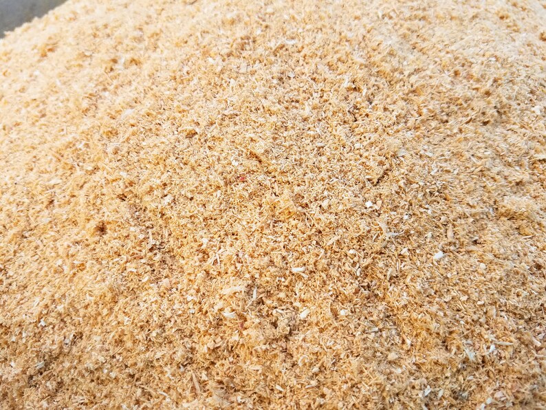 Aromatic Fresh Cedar Sawdust 1 lb Etsy