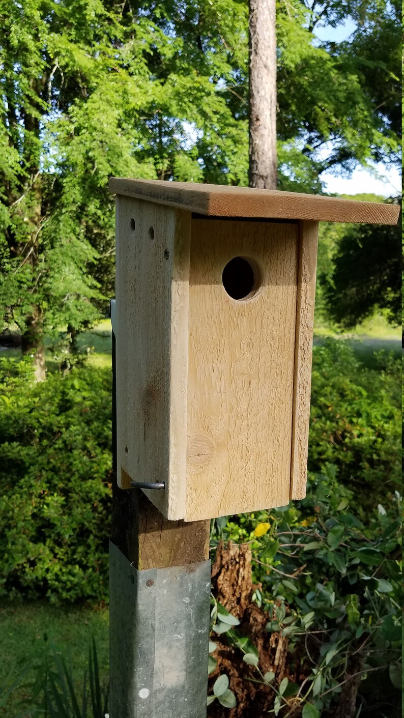Bluebird Nesting Box Birdhouse Handcrafted Natural Cedar - Etsy