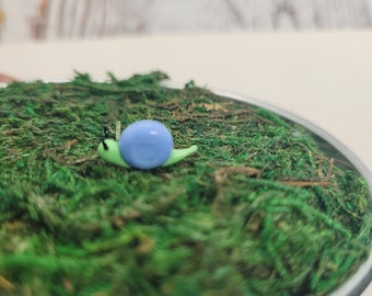 Fairy garden small snail, glass snail, fairy garden accessories, miniature snail for fairy garden, fairy garden supply, tiny garden, MTO