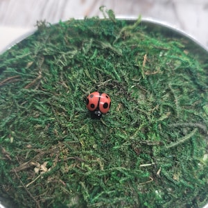 Coccinelle miniature, coccinelle en verre, décoration de jardin féerique, décoration de terrarium, fait main sur commande