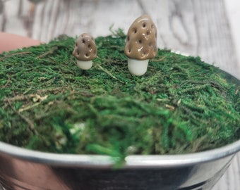 Morel mushroom decor, glass mushroom decoration, terrarium or fairy garden accessory, handmade and made to order