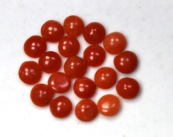 Gorgeous Lot 10 Pcs Original Red Coral Cabochon Round Gemstone 12 X 12 MM Coral Round Gemstone Natural Red Coral Cabochon Round Loose Gems