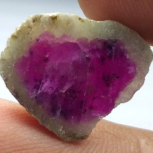 Peut inclure: Une tranche de pierre précieuse de tourmaline pastèque. La pierre présente un centre rose vif, entouré d'une couche extérieure blanche et verte. Les bords bruts mettent en valeur la texture naturelle et les variations de couleur du minéral.