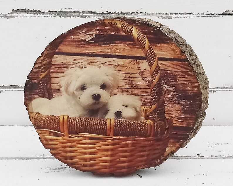 dog memorial gifts dog memorial gifts