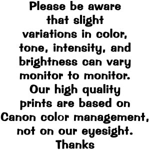 May include: Text-based image with the message: "Please be aware that slight variations in color, tone, intensity, and brightness can vary monitor to monitor. Our high quality prints are based on Canon color management, not on our eyesight. Thanks."