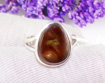 May include: A silver ring featuring a large, oval-shaped gemstone with a rich, brown color and internal patterns. The gemstone is set in a polished silver band. The background includes purple flowers and a white fabric.