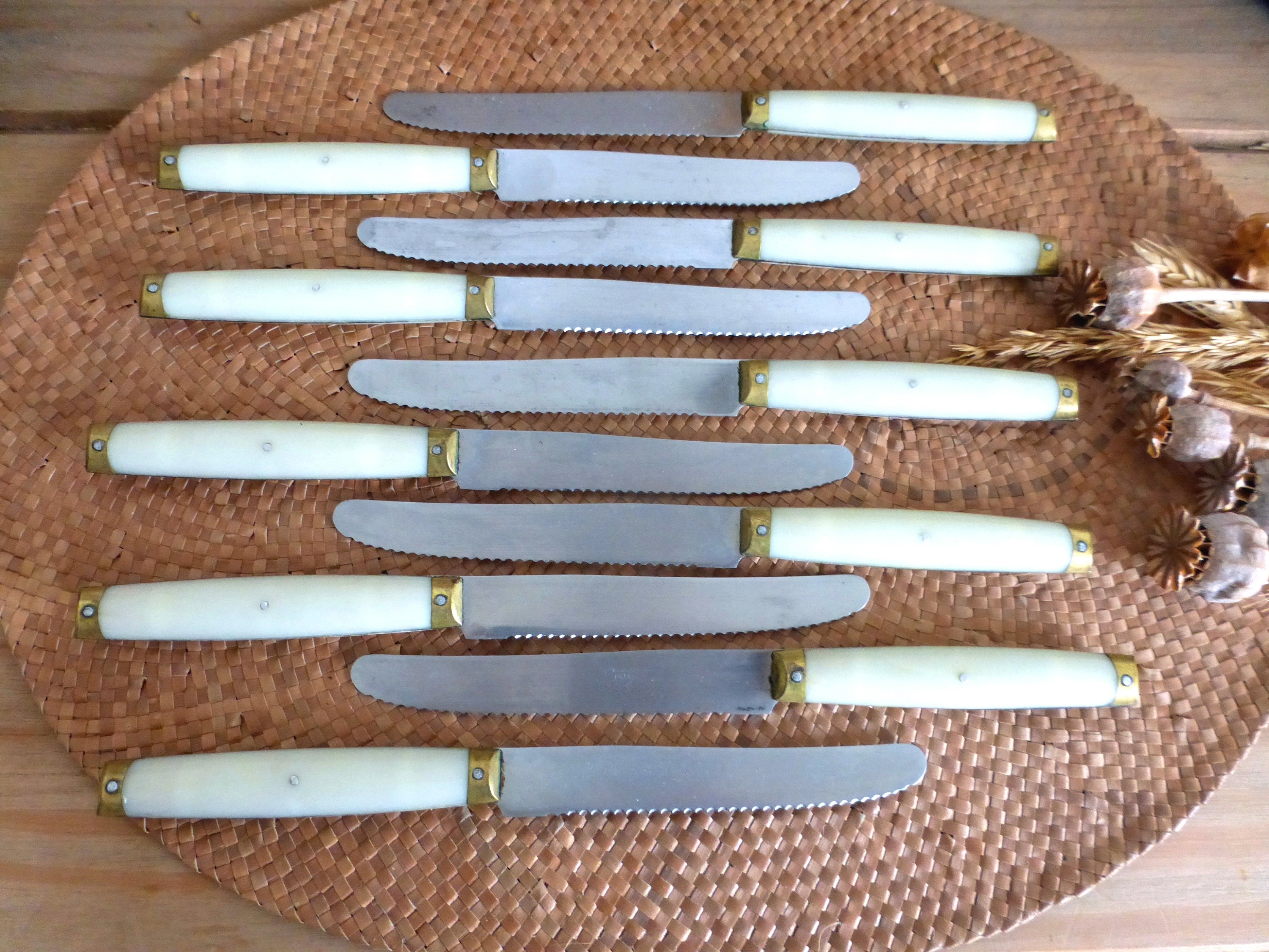 Ensemble de 10 Couteaux Pradel Vintage Français Élégants avec Des Poignées en Bakélite et Laiton Bla