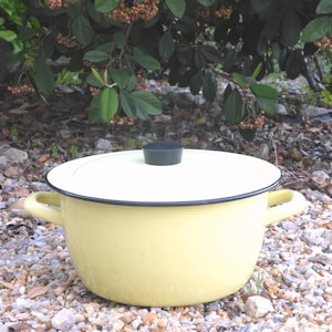 Peut inclure: Une marmite en émail jaune avec un couvercle et deux poignées. La marmite a un bord noir et un bouton vert foncé sur le couvercle. Elle est posée sur un lit de petits cailloux, avec un feuillage vert en arrière-plan.